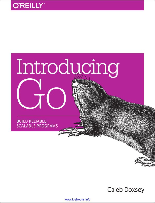 Cover of Introducing Go